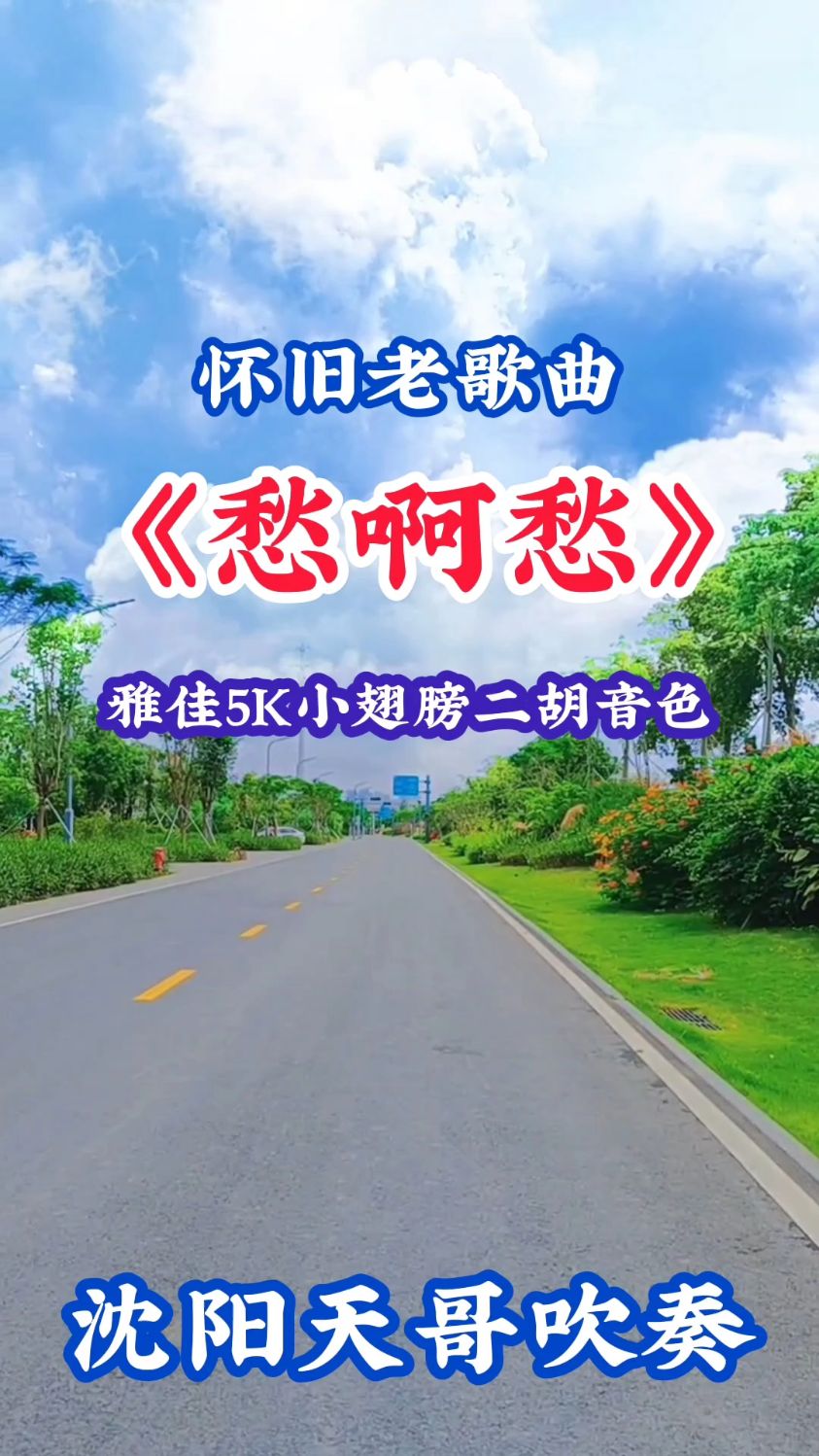 怀旧老歌《愁啊愁》电吹管二胡音色-度小视