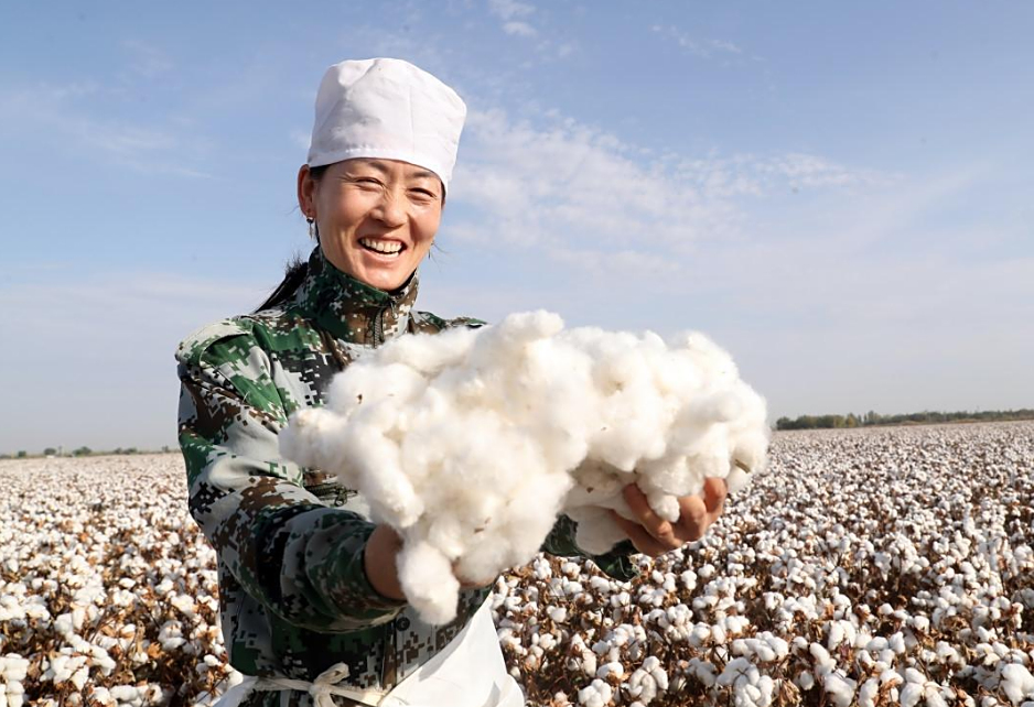 不学h&m和耐克,美企斯凯奇力挺新疆棉花,昨年在华销售量可观