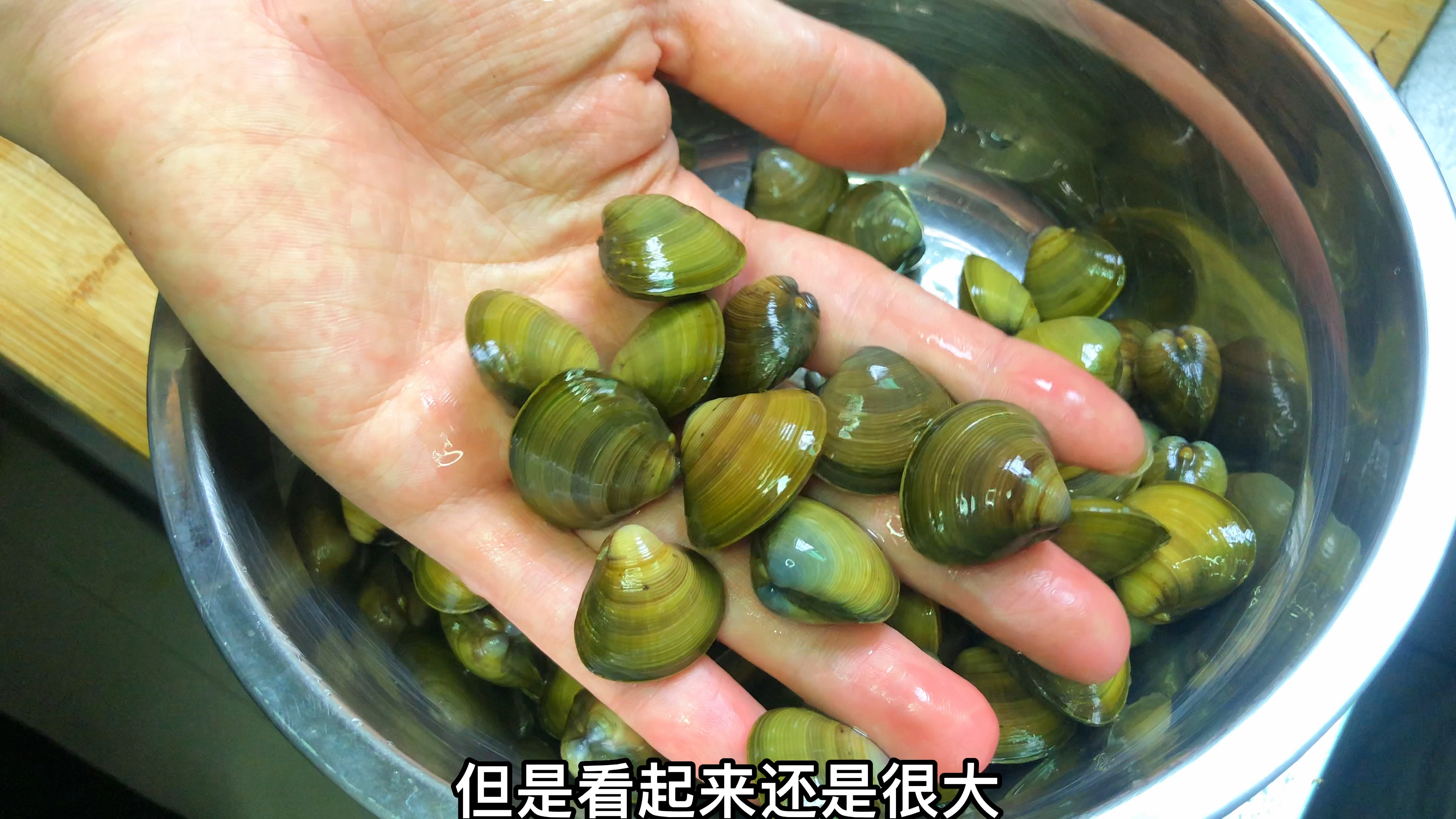 今年河蚬真肥又便宜,大厨教你潮汕老人做法,鲜嫩又下饭