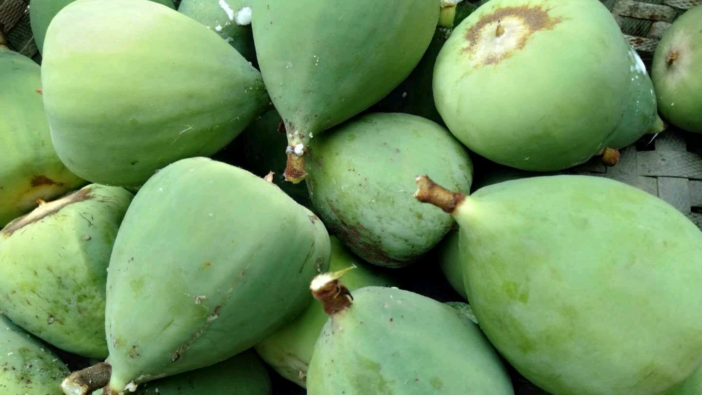 这种野果是做凉粉的原村料,还有公母之分,你们那也有吗