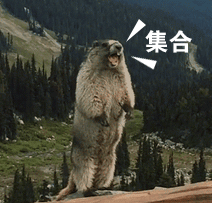 他家不止老鼠命长,就连苍蝇都活的更久