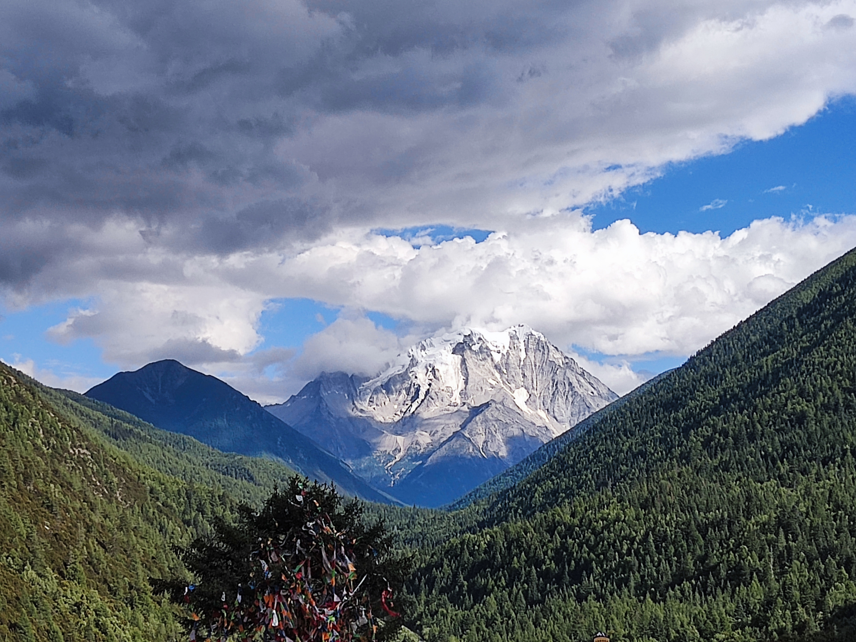 早上吃过早饭8点 步行去人参果坪,没人参观,游客都在最上面的景点