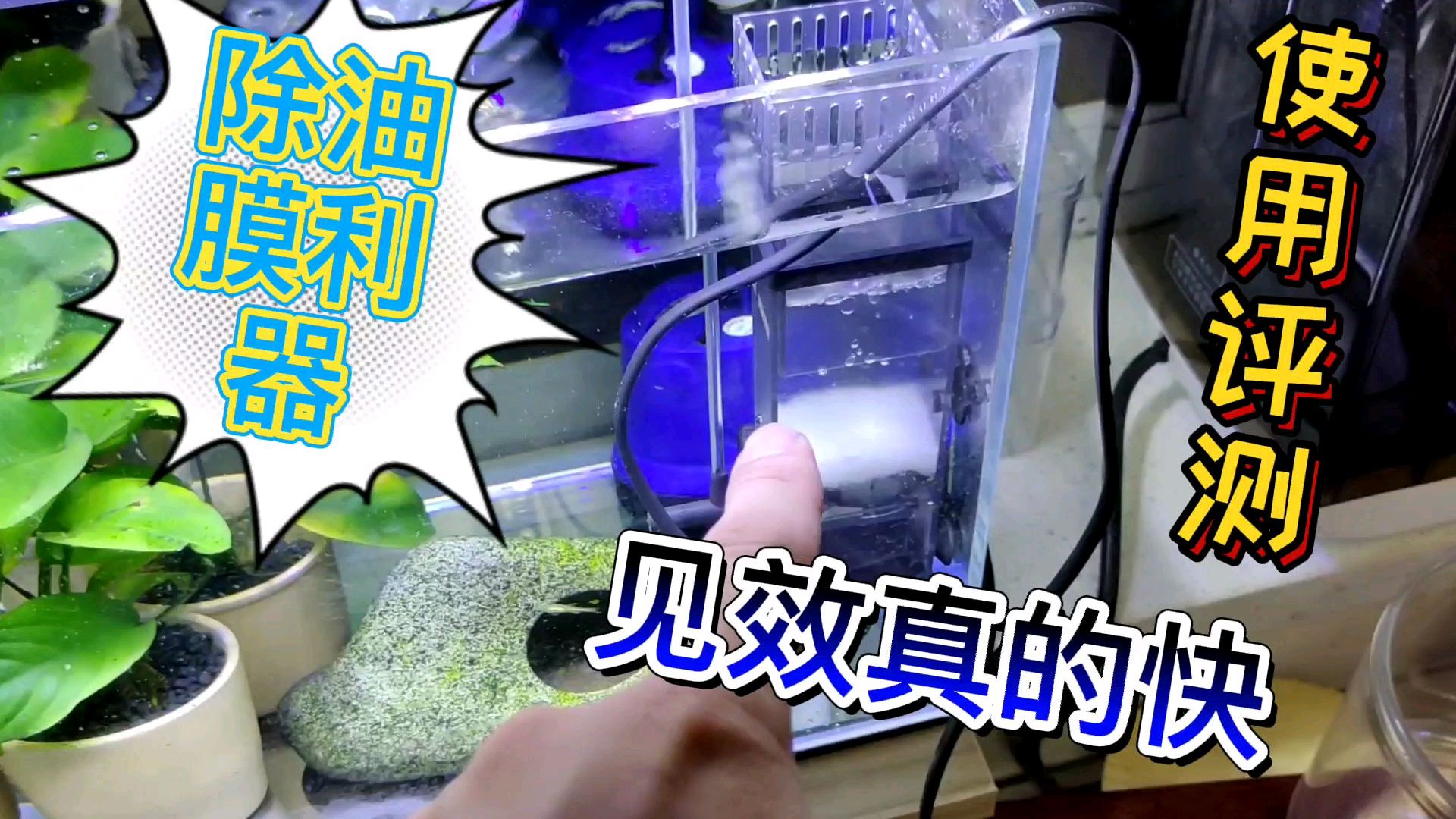 鱼缸有油膜怎么办?工具鱼太慢除不净,可能你需要一个利器