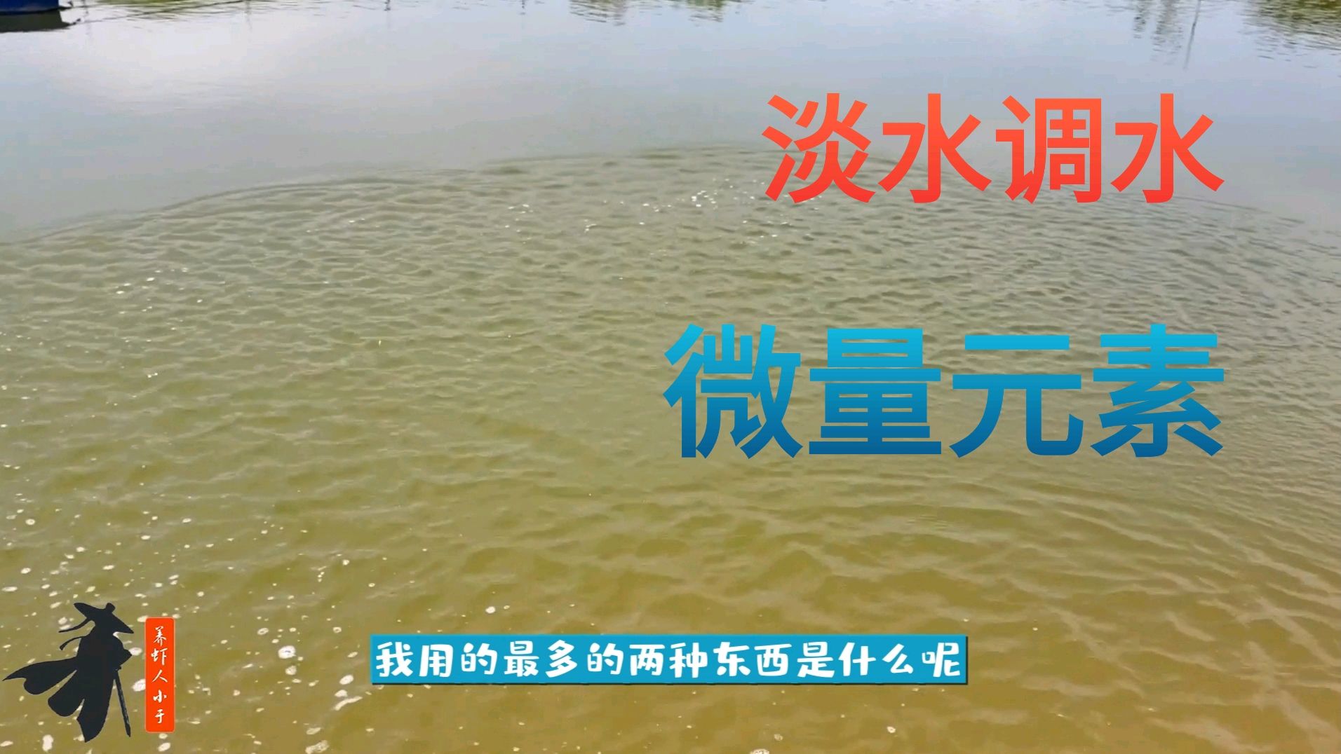 南美白对虾淡水养殖如何调水?怎样补充微量元素?