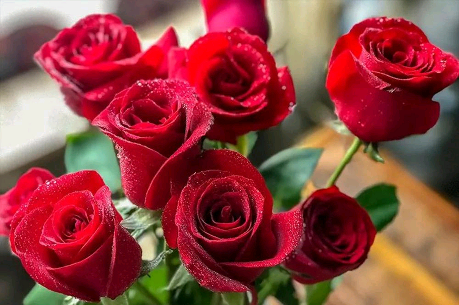 情不知所起,而一往情深 在我们的生命中,总会有那么一个人,让你情不知