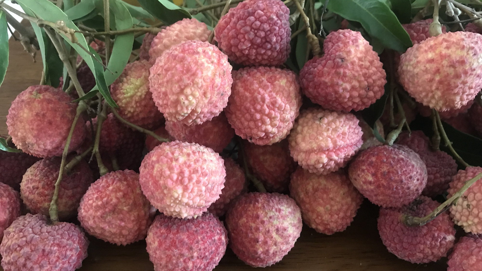 大丁香荔枝降价了