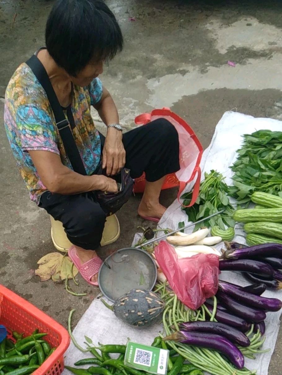 每天路边摆摊卖菜的大妈很多,很多菜都是说他们自己家里种的