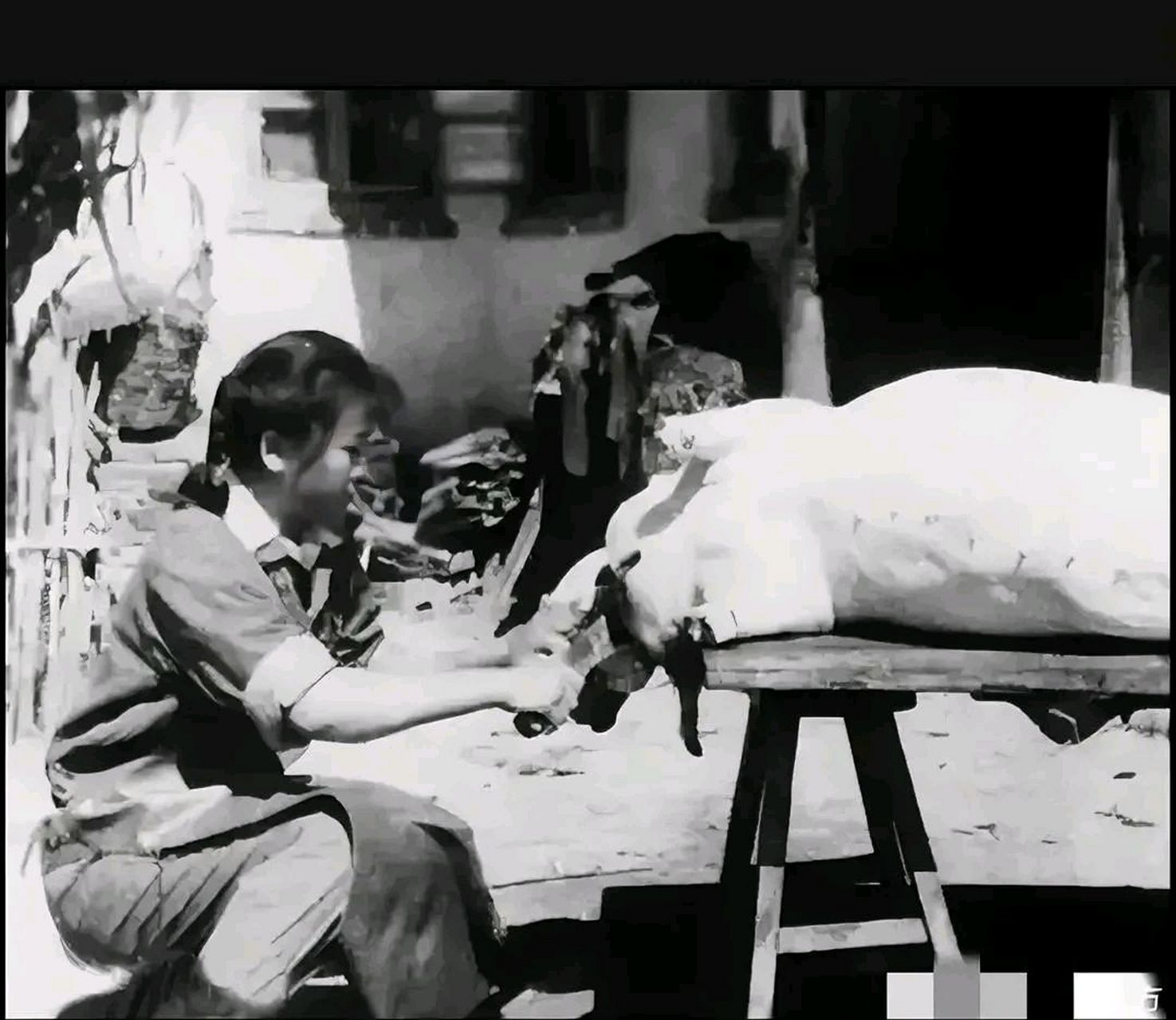 50年代,国营农场里,一名女工,正在展示杀猪技术,这个杀猪"女神"才是