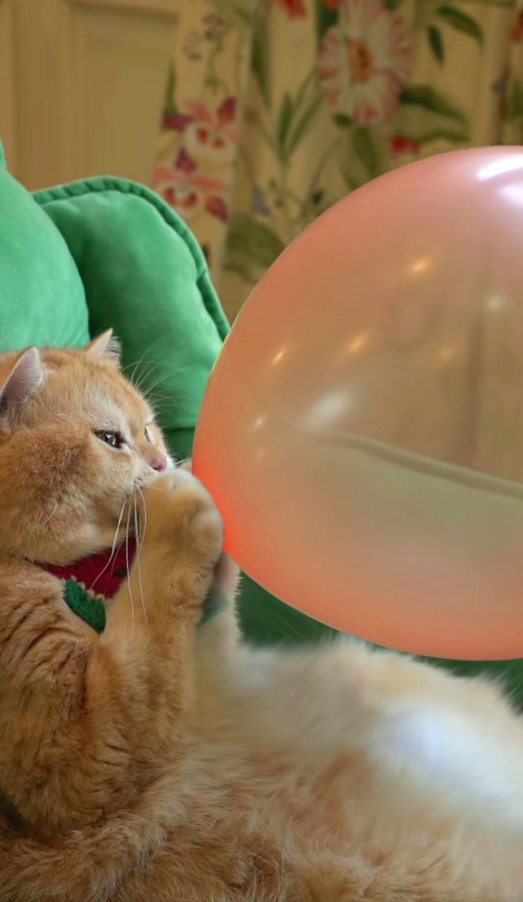 啥时候学会吹气球这个技能了?要逆天了.#趣图搞笑