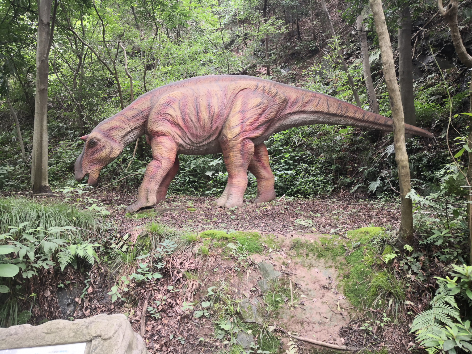 云雾山恐龙谷,设备似乎不维护,可不管怎样孩子们喜欢就够了