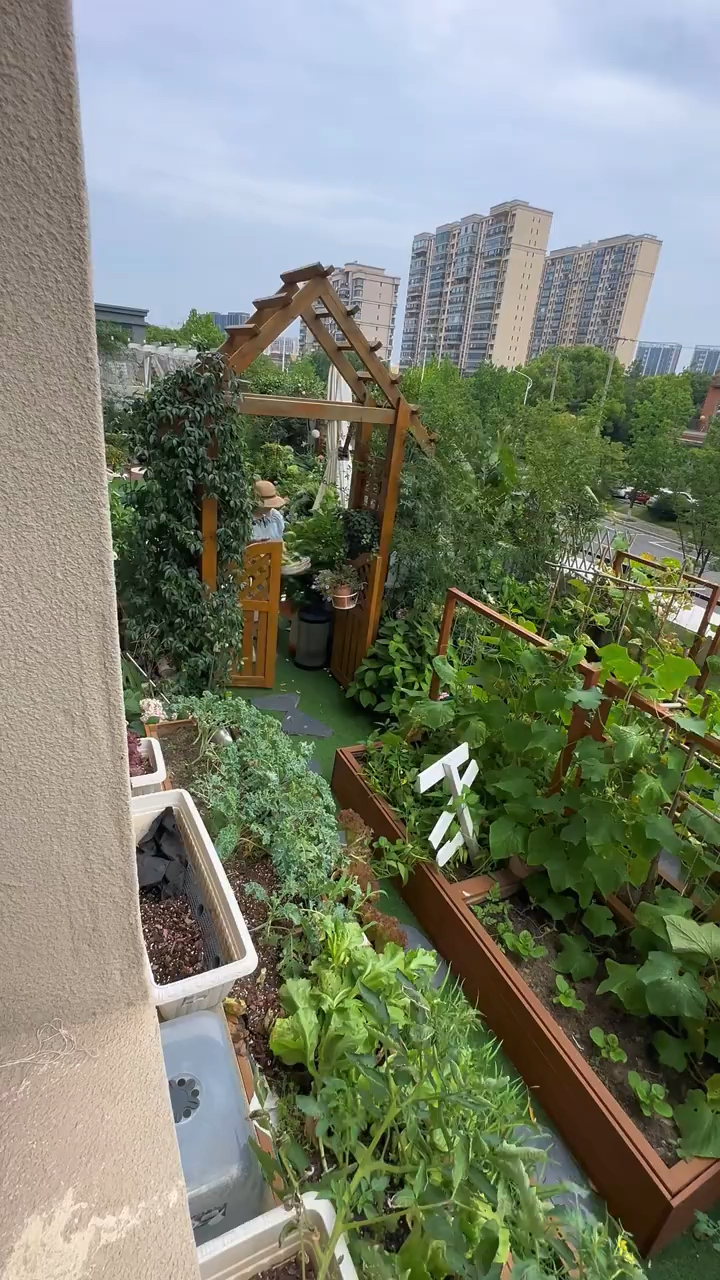 花一万改造的菜园被朋友吐槽说我傻说用这一万买蔬菜吃不完可我觉得