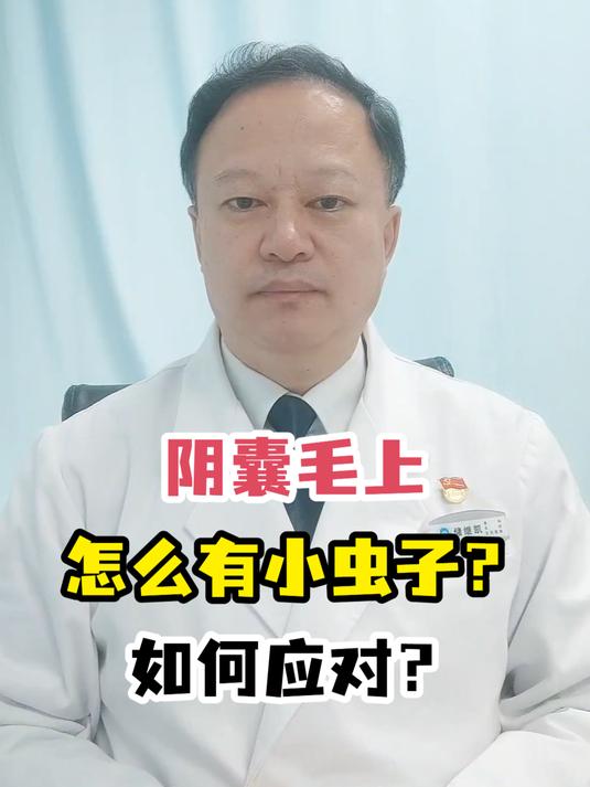 阴囊毛上怎么有小虫子?如何应对?