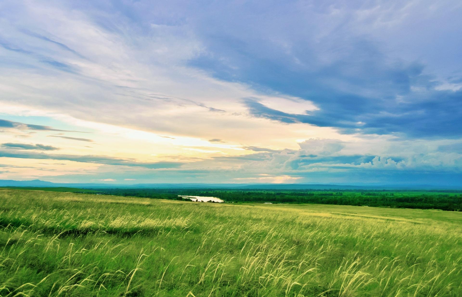 阳光正好,微风不燥