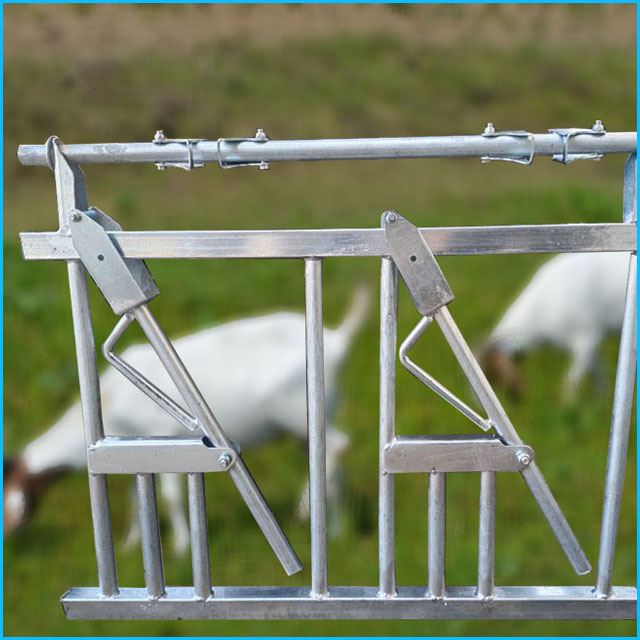 羊颈夹都有哪些款式