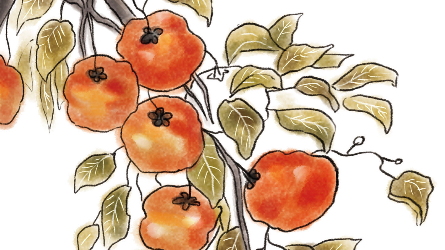 好书推荐:《正是橙黄橘绿时》温暖着三餐四季