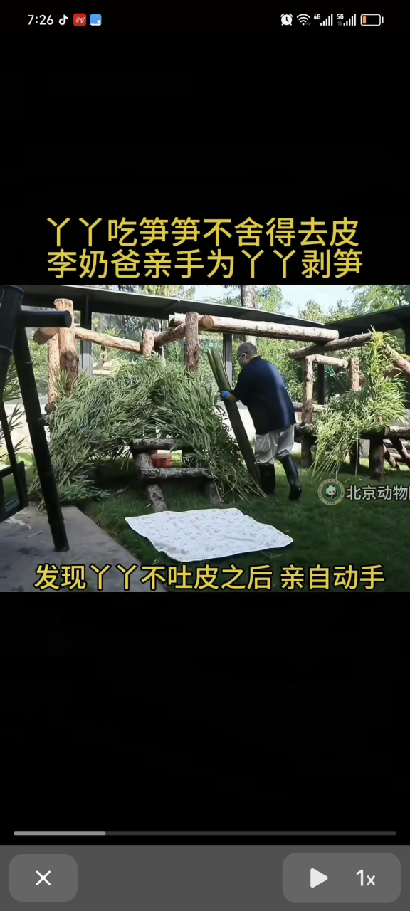 丫丫回来前后变化多明显啊,看着就开心.