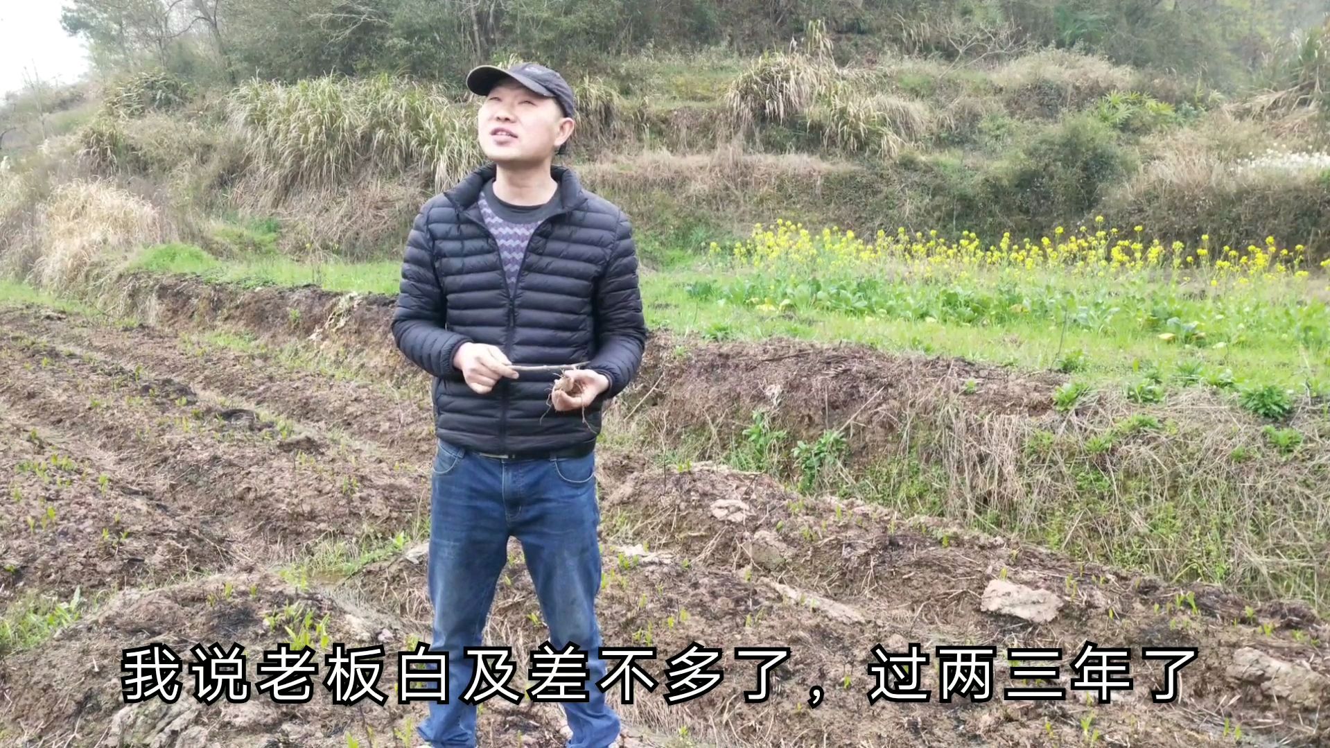 小伙种中药材赔本了2万多,媳妇责怪他想赚钱太冲动,听小伙咋说