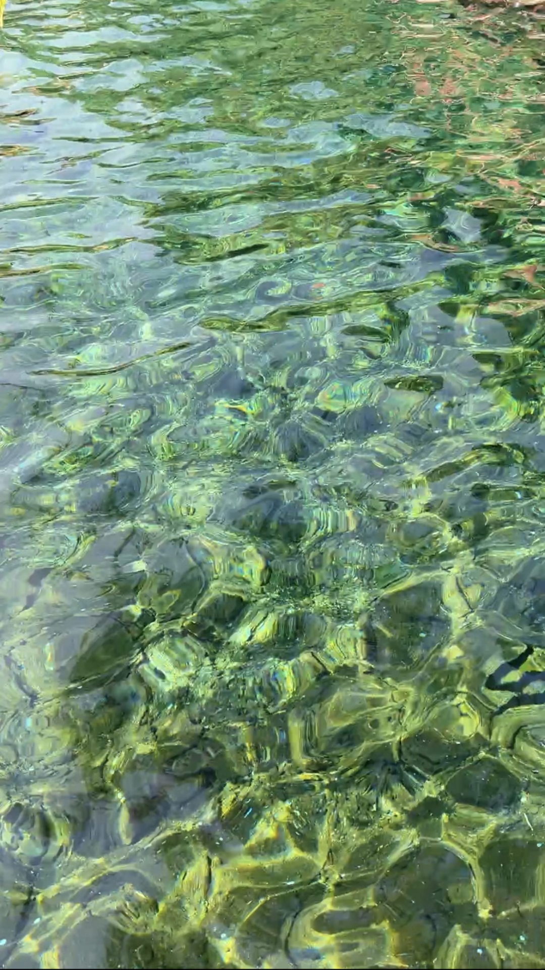 大自然的馈赠,趵突泉水啊清澈透明,宛若镶在翡翠中,令人陶醉.