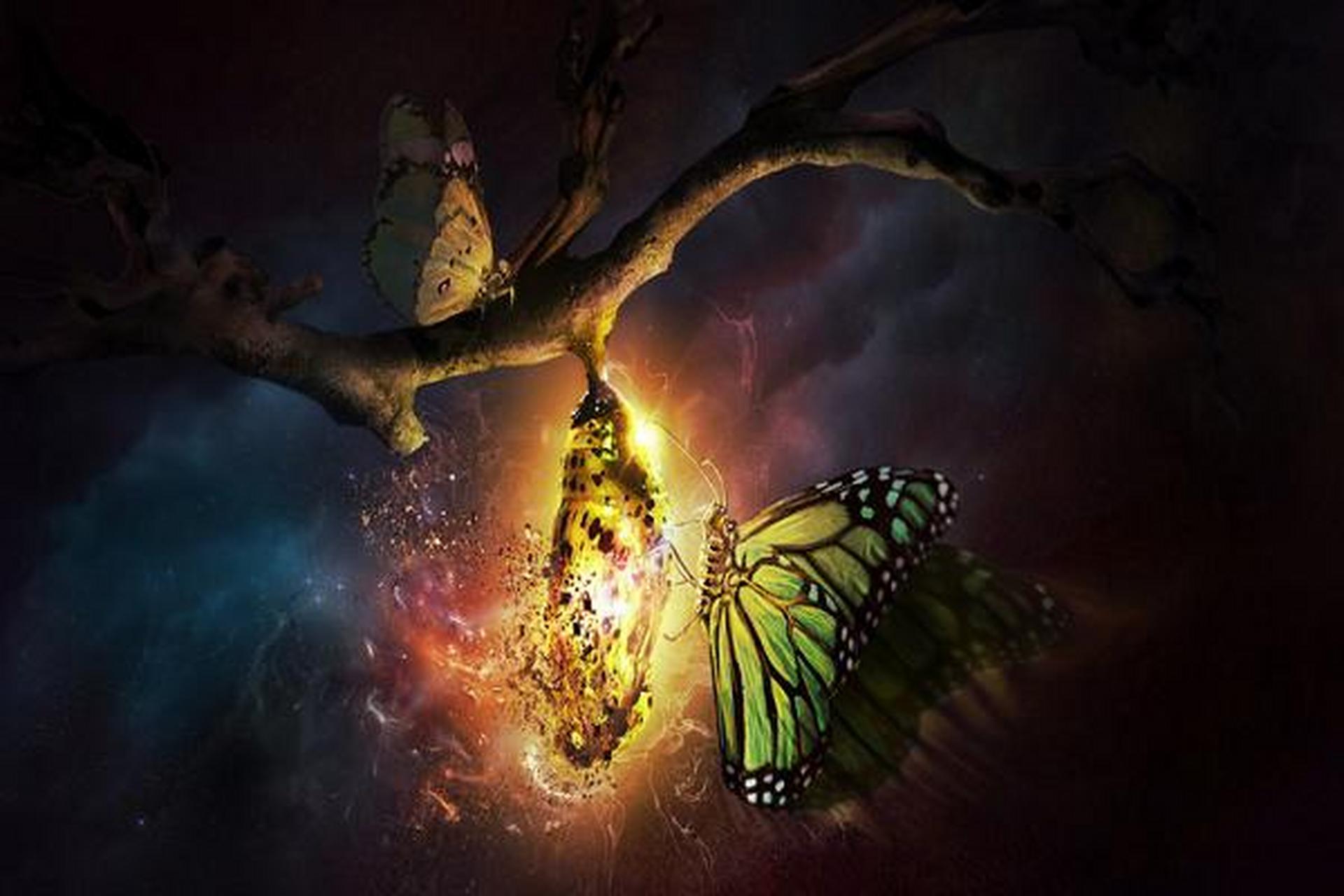 今天,我想与大家分享一句话,它深深地打动了我内心深处的情感:"破茧成