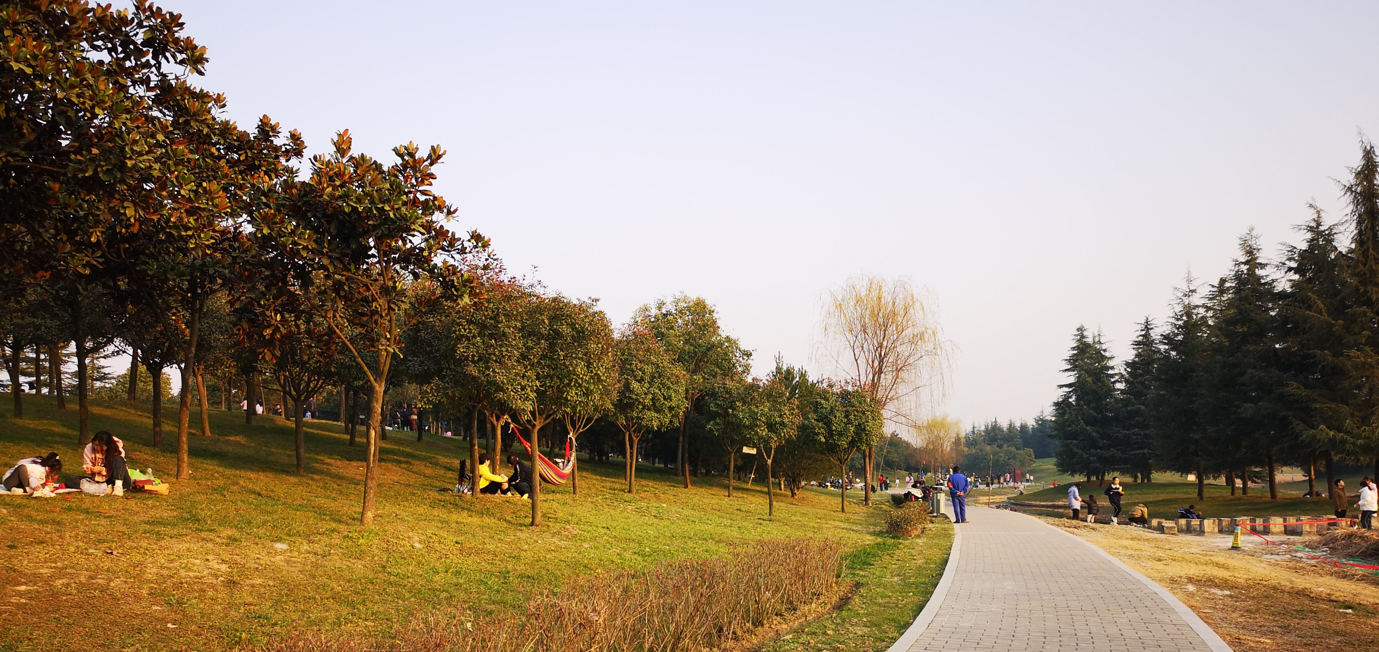周末去鹤鸣湖公园,以为可以拍到鹤,或者起码也有别的鸟可以拍吧.