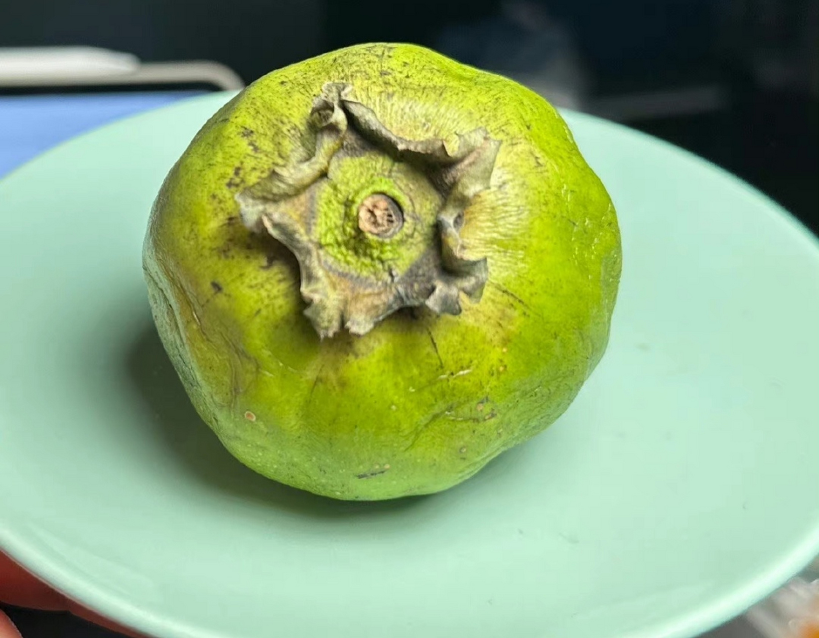 巧克力布丁果?会有巧克力的味道吗?