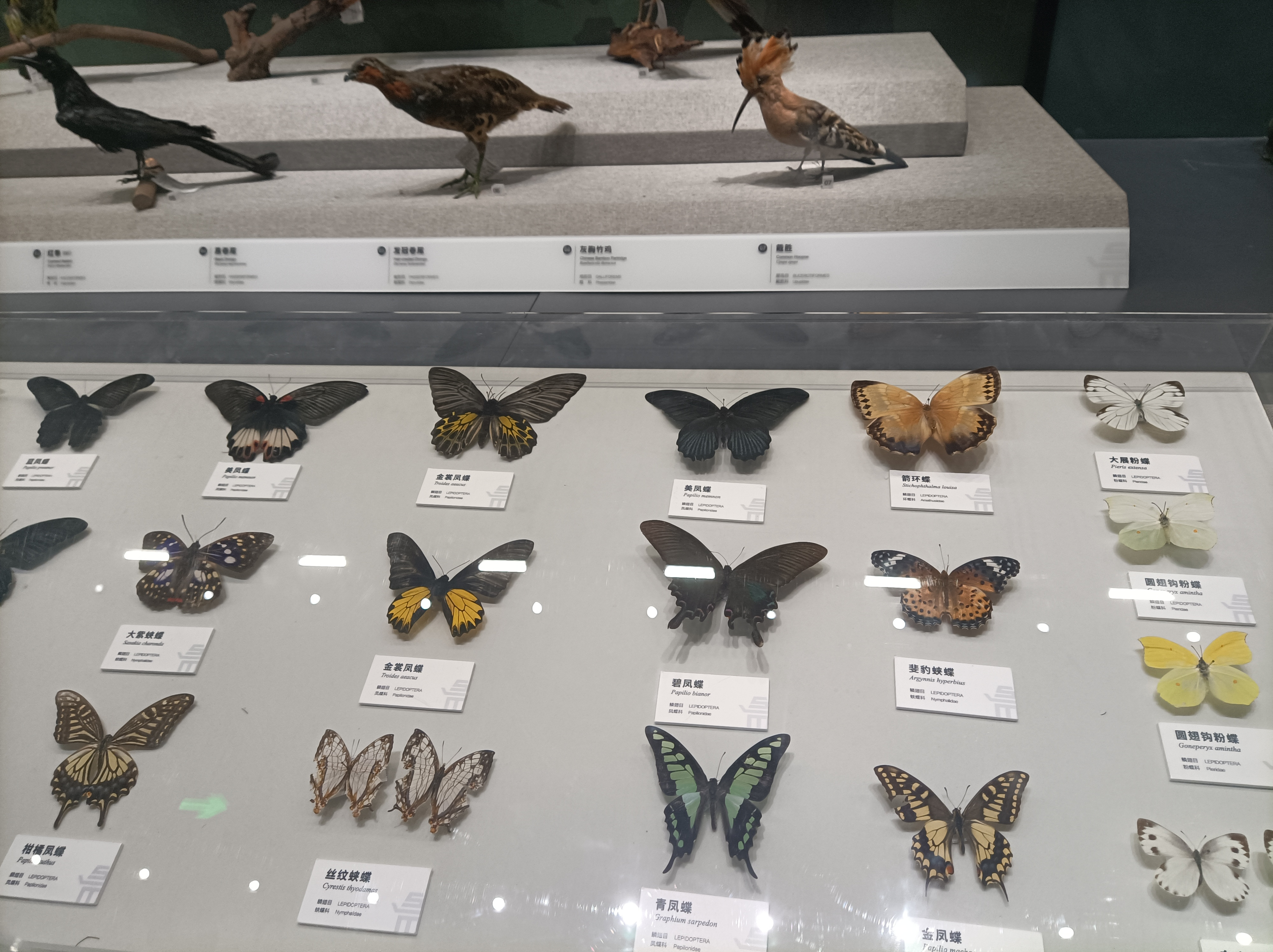 走进四川大学博物馆