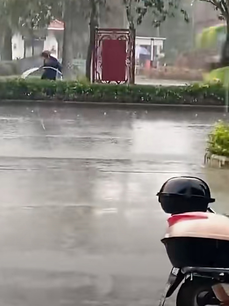 雨天洒水雨天浇水并不少见