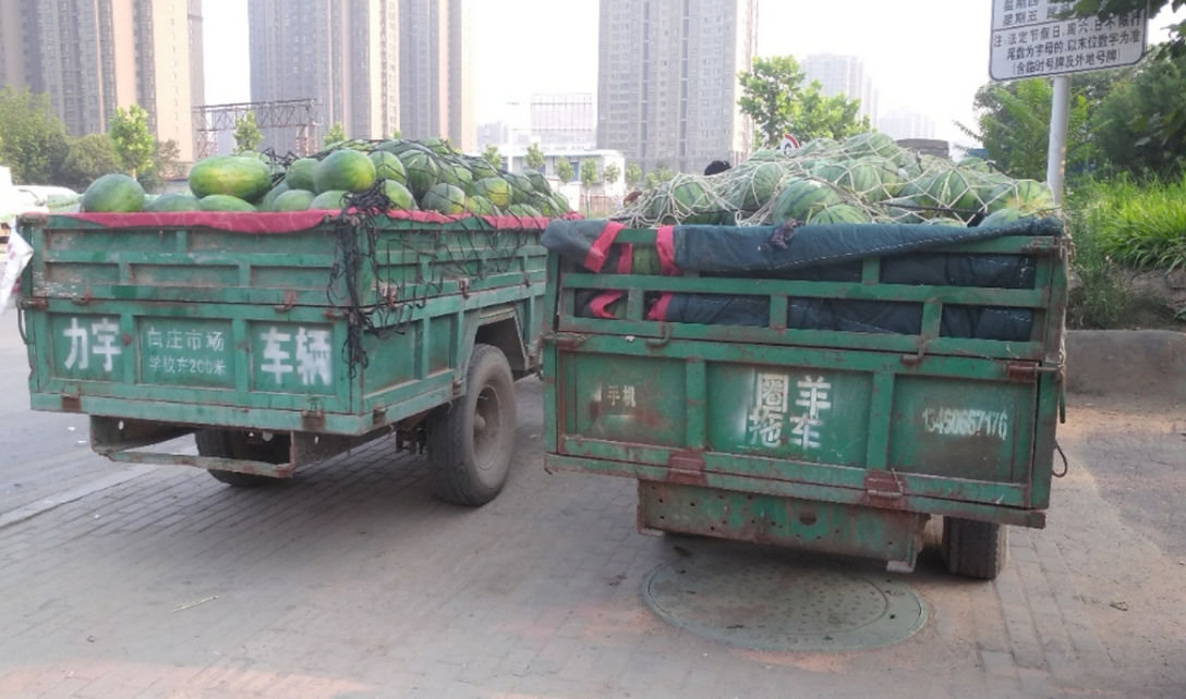 司機拉西瓜過綠通,收費員要求整車卸下來檢查,司機:憑什麼?