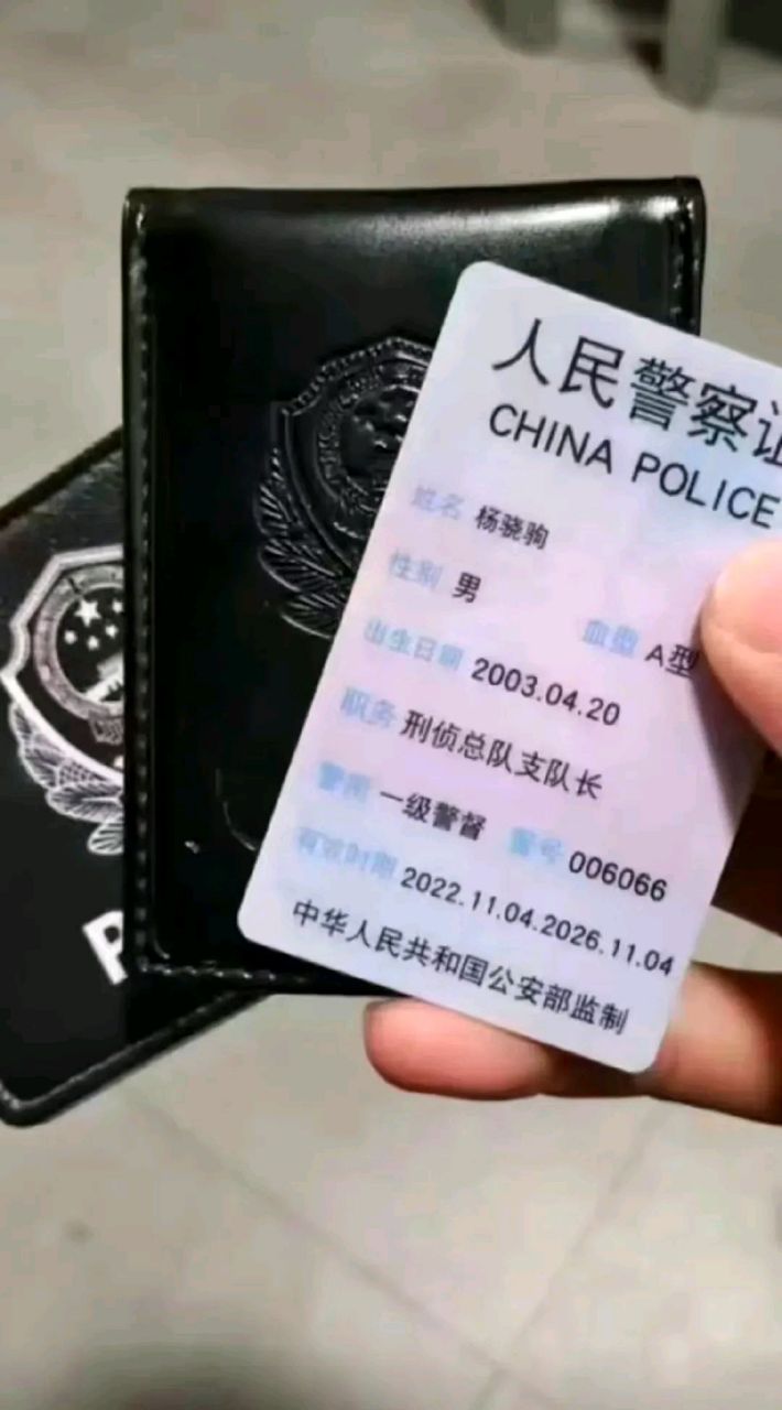 一级警督是多大的官啊图片