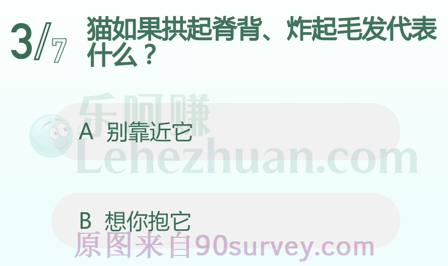 猫如果拱起脊背、炸起毛发代表什么？