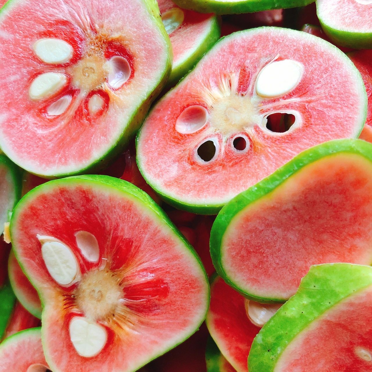 今天实践 家门口种的一棵胭脂果树