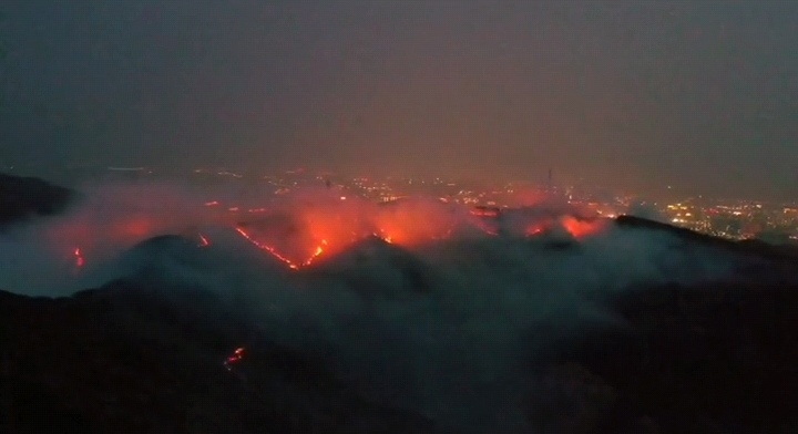 突发!烟台塔山"烽火连城",1800人连夜灭火,起火原因让人愤怒