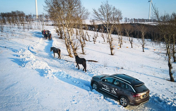 王八对绿豆,看对眼了