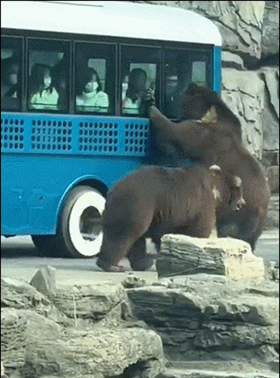 燕子,没有你我怎么办啊 676767[流泪]#日常搞笑