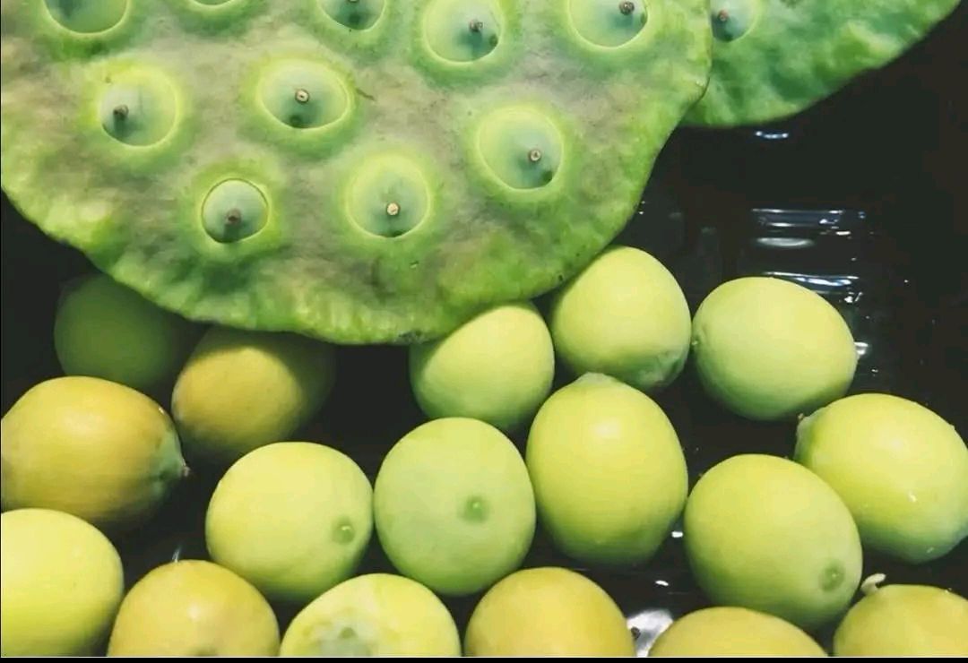 莲子成熟了,但是你对莲子了解吗?