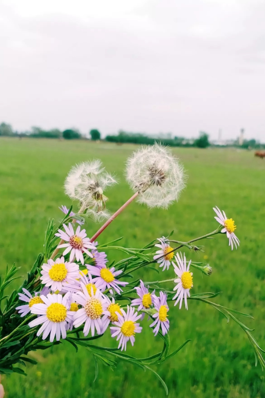 见人少说话 见事少掺和  管好自己的心 做好自己的事  张嘴是祸闭嘴是