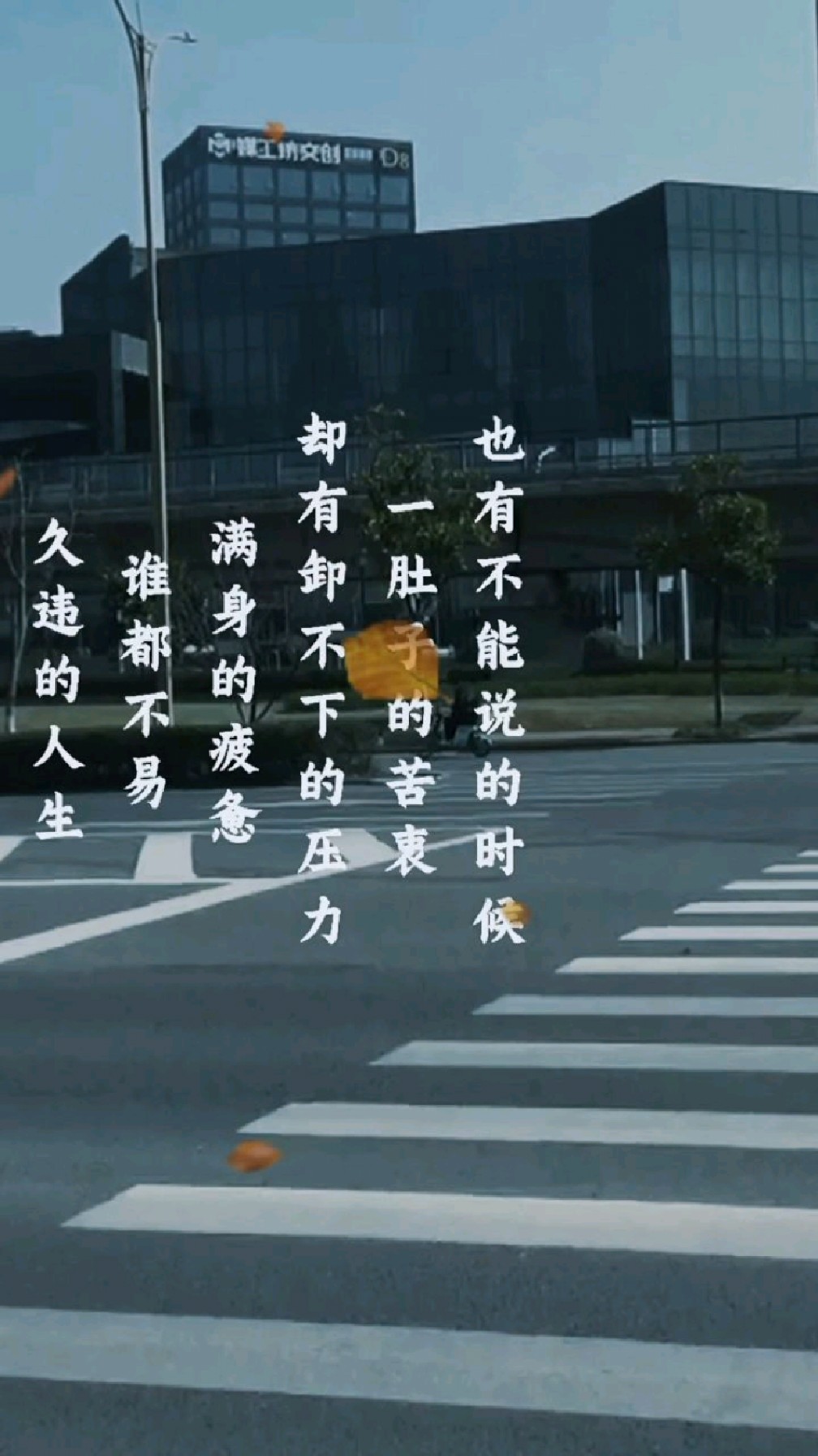 失败了并不可怕可怕的是爬不起来失去了并不可怕可怕的是总在回忆