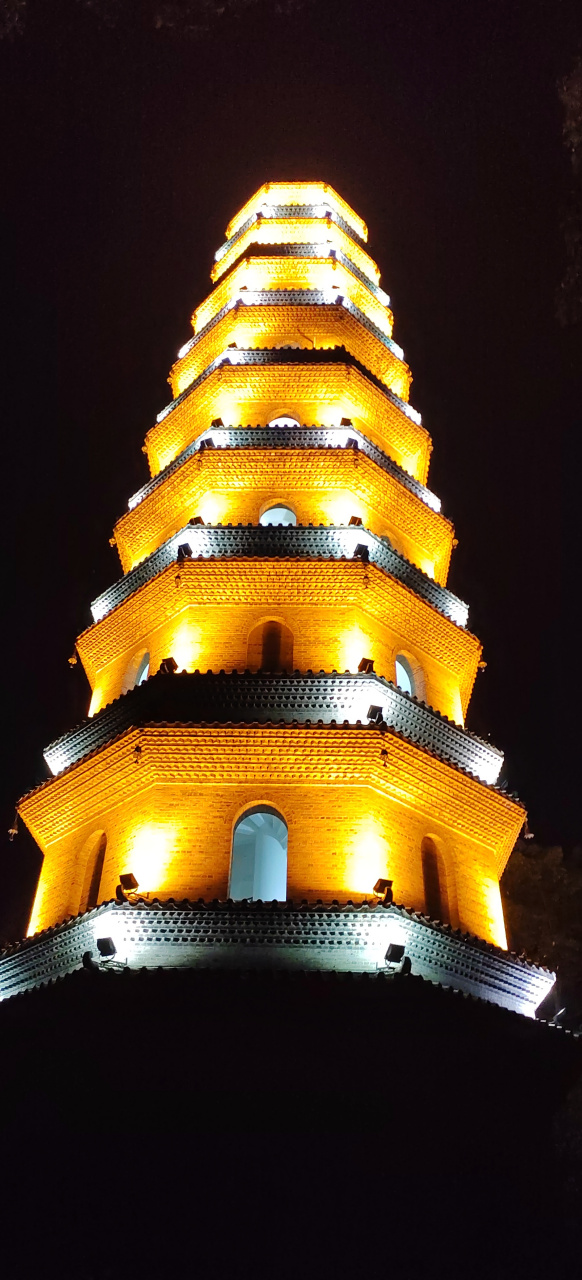 夜空背景下的南宁青秀山龙象塔,犹如一把黄金利剑,直插云霄!