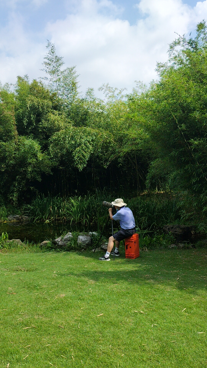 漫步城市,上海植物园,植物多种多样,而且还是免门票哟,夏日和家人朋友