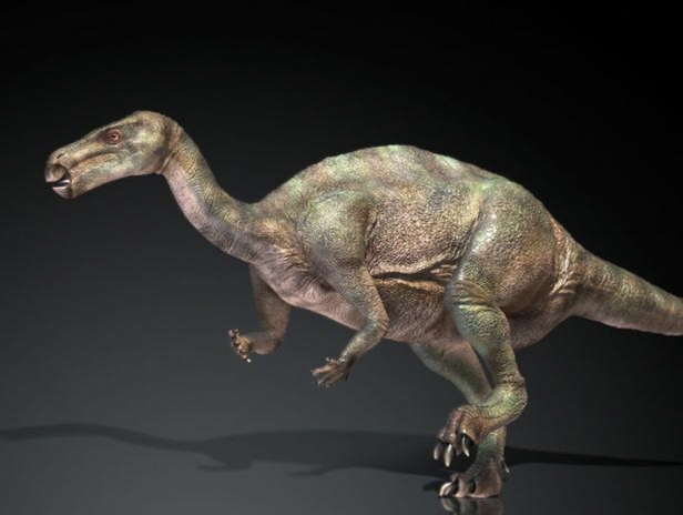 弯龙远古时代的曲线之王