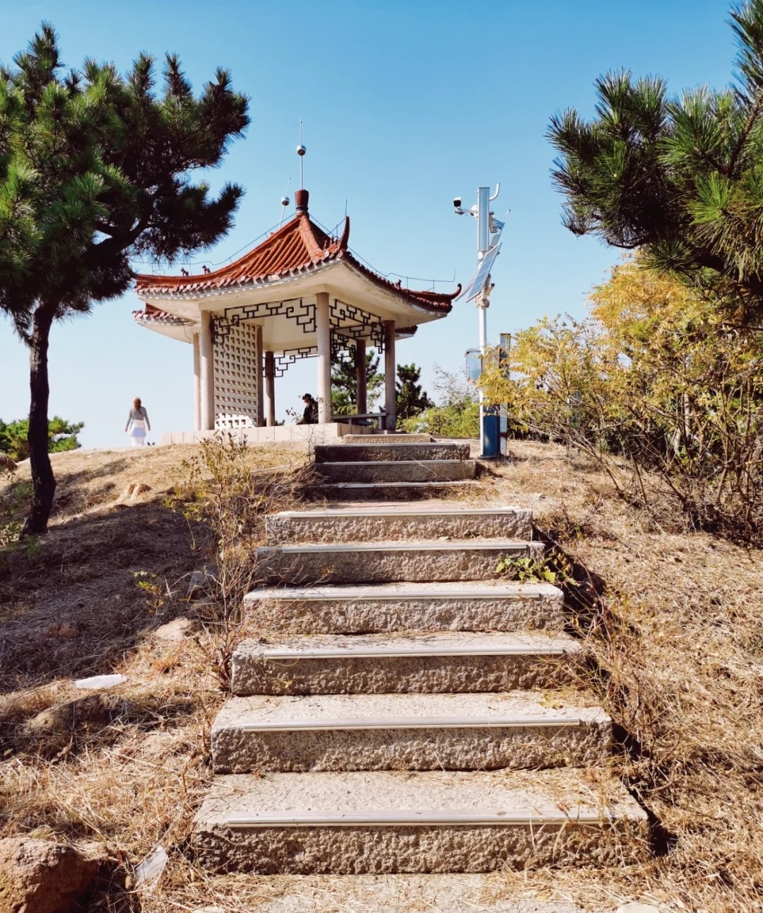 青岛北岭山森林公园