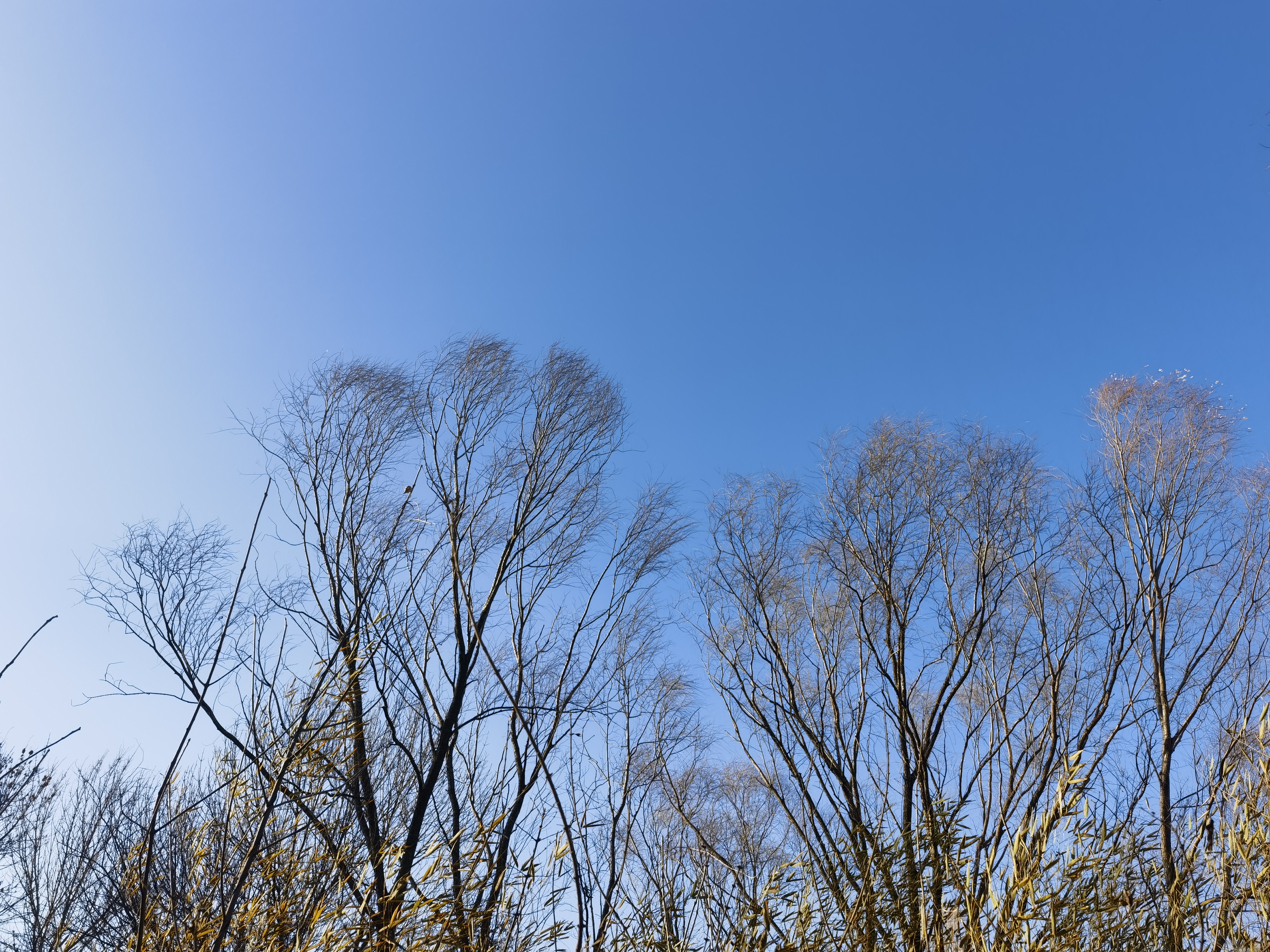 请保持谦卑心态