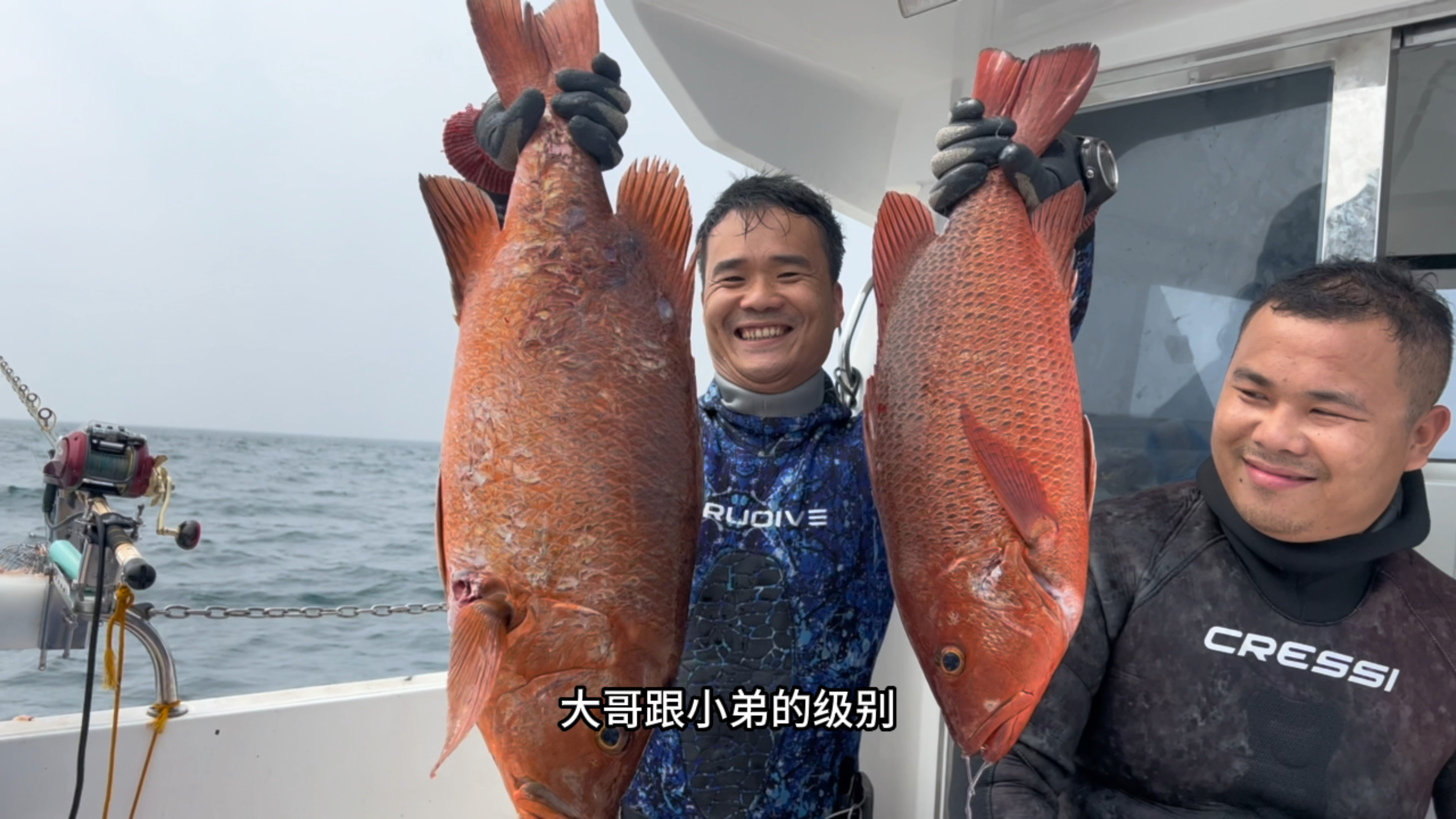 深洋荒岛最后一天,潜入海底各种鱼群爆屏,60斤大马胶核硬闯关
