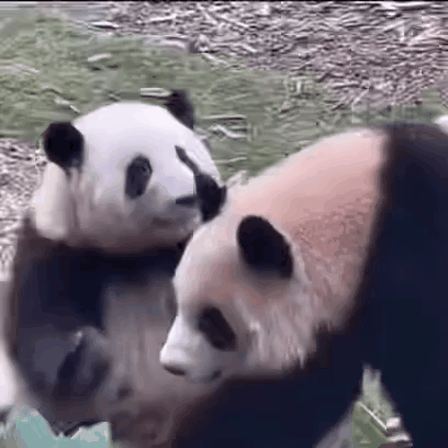 花花:保安请把他叉出去!