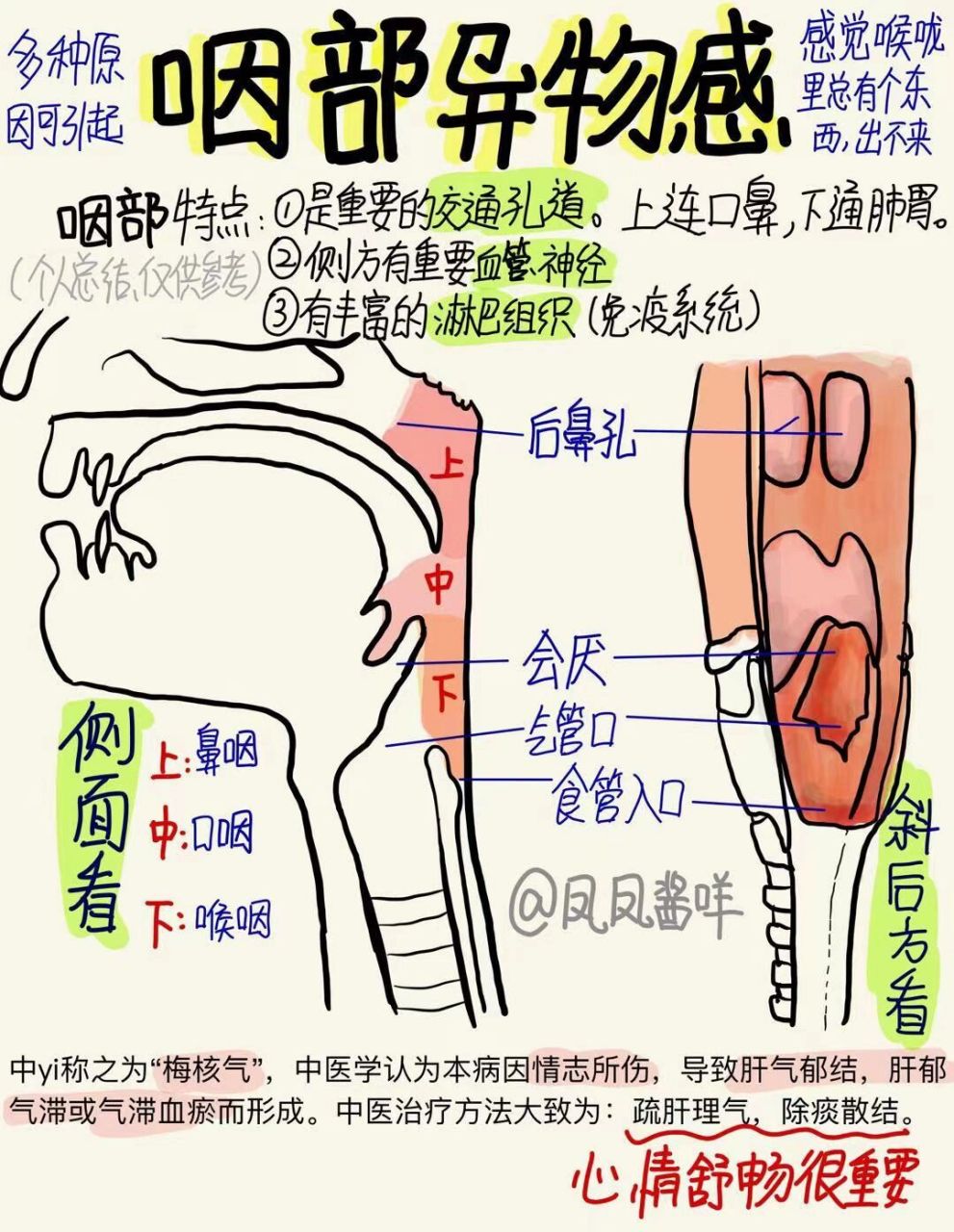 下咽的位置图片图片