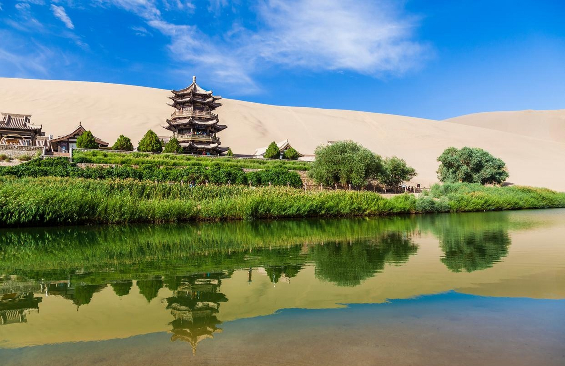 最近有网友爆料,甘肃敦煌的鸣沙山月牙泉景区,上千匹供游客骑乘的骆驼