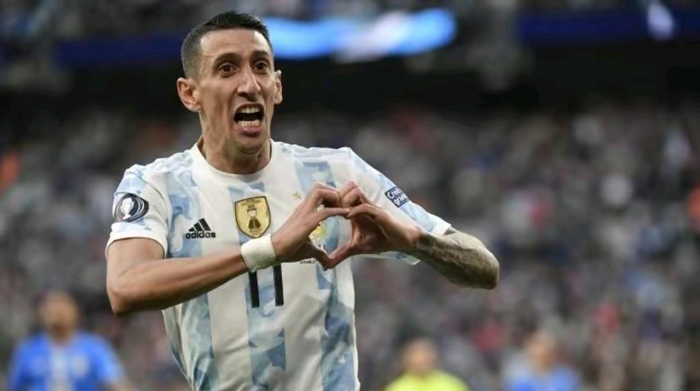 回顾迪马利亚世界杯决赛进球  阿根廷队决赛中的第二个进球,最后一脚