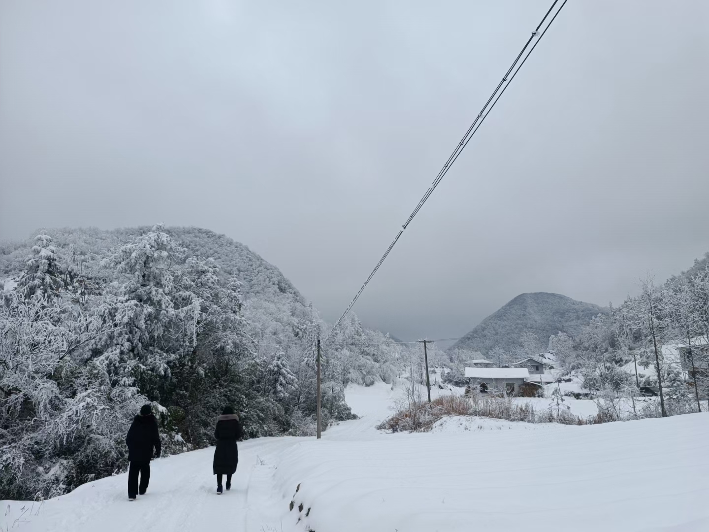 大雪天 农村图片