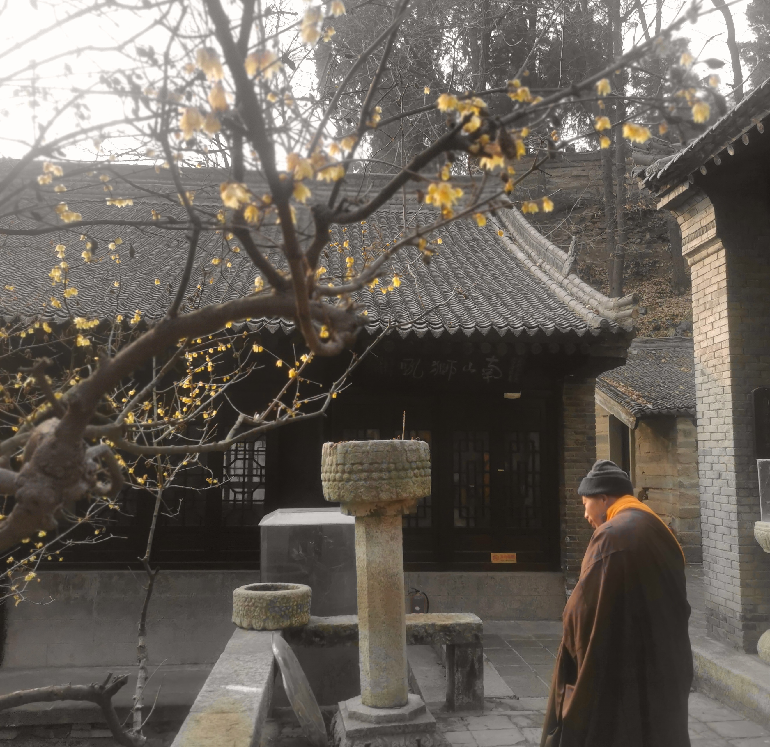 游终南山净业寺