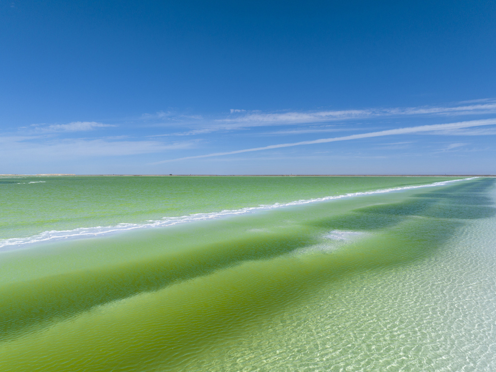 烈日炎炎,察尔汗盐湖碧绿的湖水在洁白湖盐的映衬下显得格外清澈,宛如